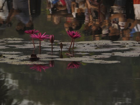 加拿大28彩票中奖喜悦